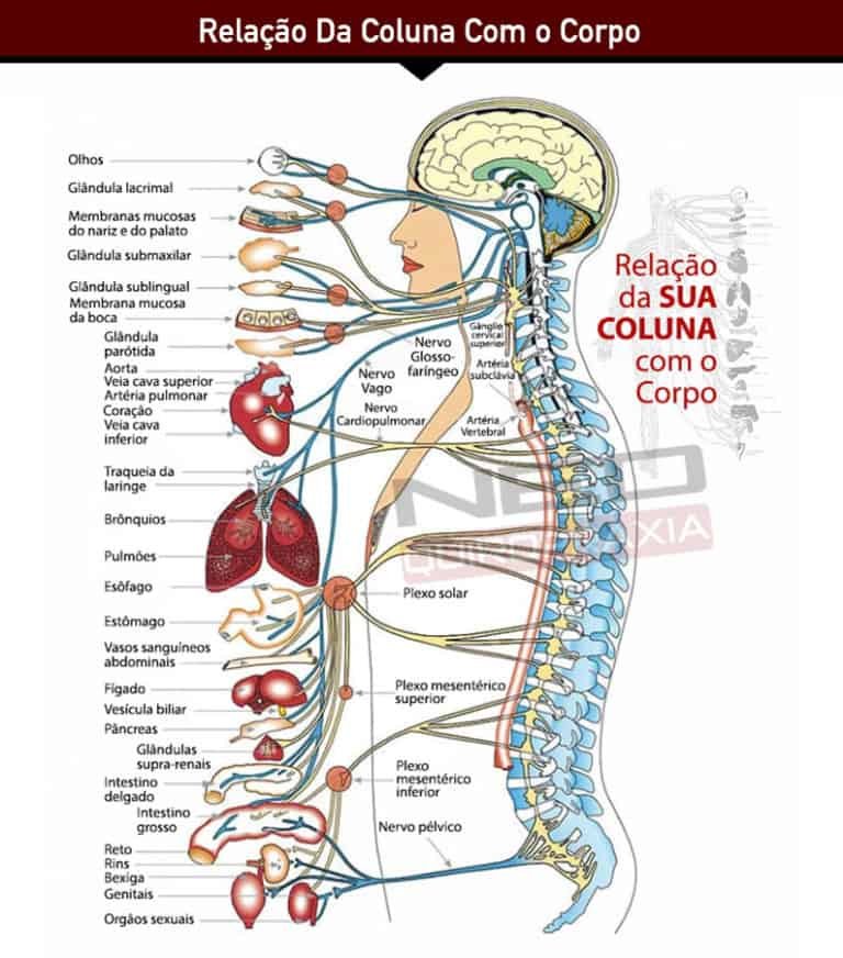 Dor na coluna e corpo
