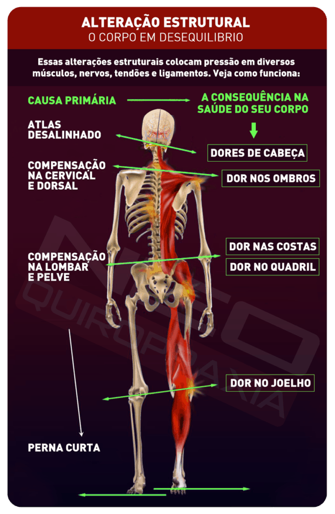 desequilibrio coluna atlas quiropraxia